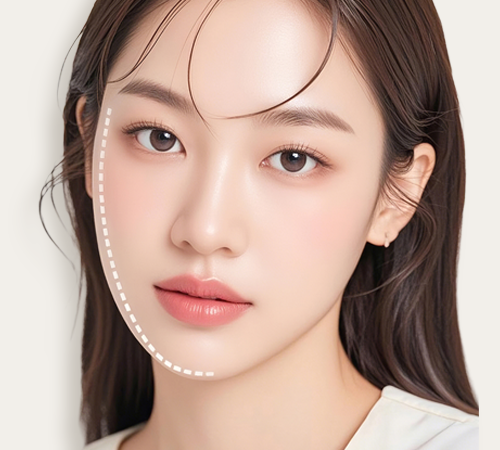 얼굴형
